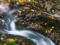 Herbstlaub auf Felsen zwischen Kaskadenarmen - Steinbach